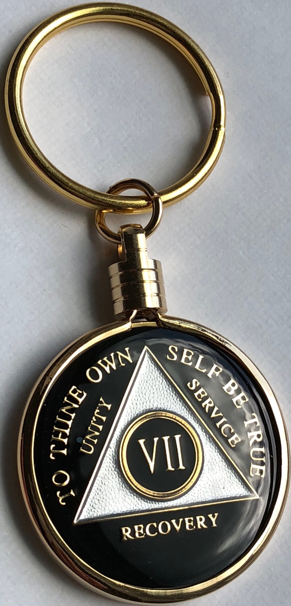 40mm AA Medallion Keychain - Tri-Plate Chip/Coin/Token Holder - Silver — AA  Medallion Store