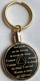 Keychain AA Medallion Holder For Recovery Mint Tri-Plate Chips Gold Plated - RecoveryChip
