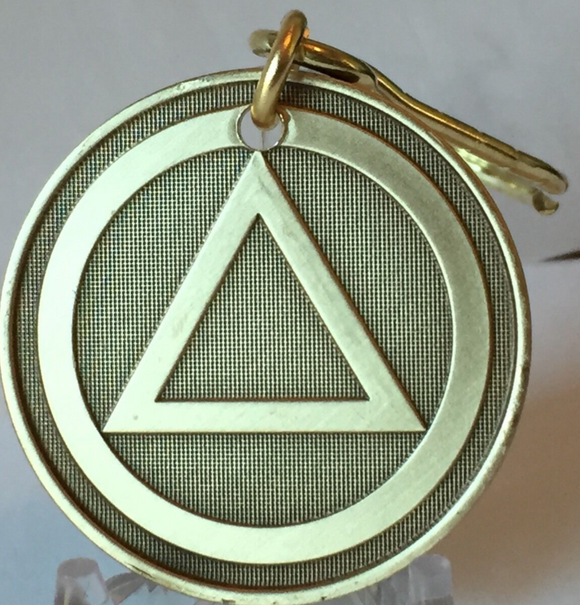AA Logo Circle Triangle - Pain Is Necessary Suffering Is Optional Keychain