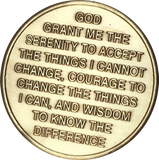 Bulk Roll of 25 Dragonfly One Day At A Time Medallion With Serenity Prayer