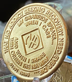 2 Year Official NA Sobriety Chip Purple Velvet Swarovski Crystal Bronze Medallion