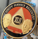 42 Year AA Founders Medallion Orange Black Gold Plated Sobriety Chip
