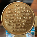 Women In Recovery Rose Serenity Prayer Medallion Chip Coin AA NA Color