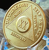 20 Year 24k Gold Plated Sobriety Medallion Chip Given To And By AA Members
