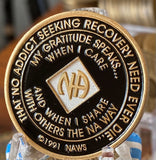 9 Year NA Medallioon Blue and White Tri-Plate Official Narcotics Anonymous Sobriety Chip