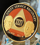 35 Year AA Founders Medallion Orange Black Gold Plated Sobriety Chip