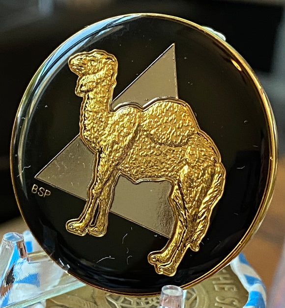 Sober Camel Bronze Medallion — Alcoholics Anonymous Regina