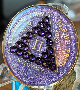 2 Year AA Medallion Purple Glitter Velvet Crystal Sobriety Chip